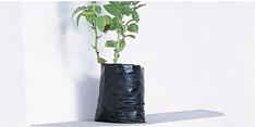 image02